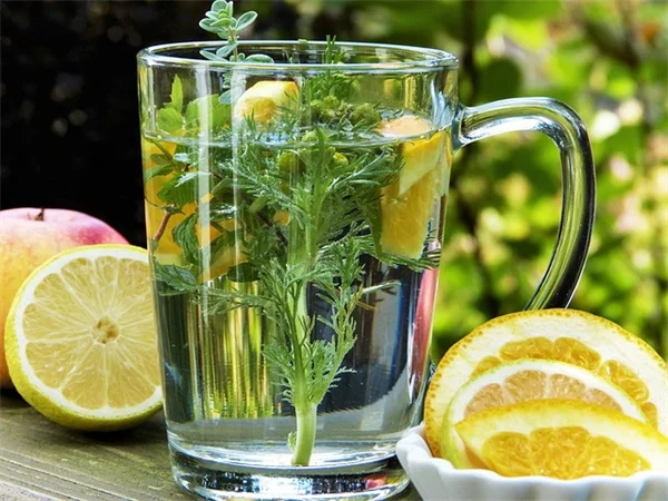 観葉植物を夏に外に出す5つのメリットと失敗しないコツ